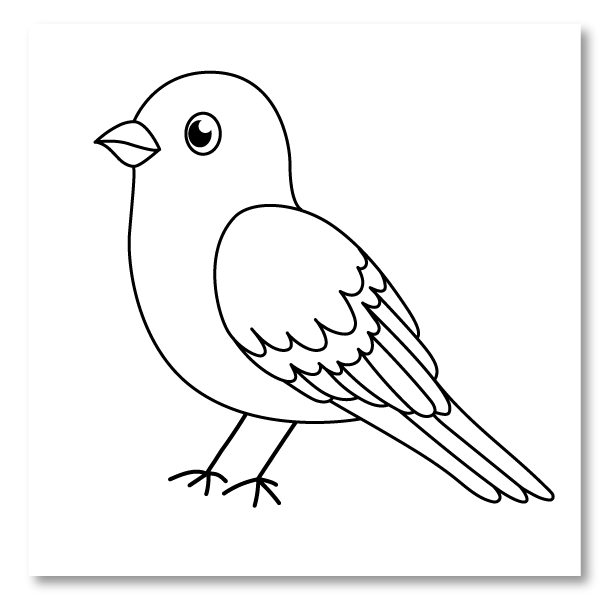 Bird coloring pages