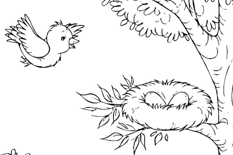 Bird coloring pages free fun printable coloring pages of our fine feathered friends printables mom