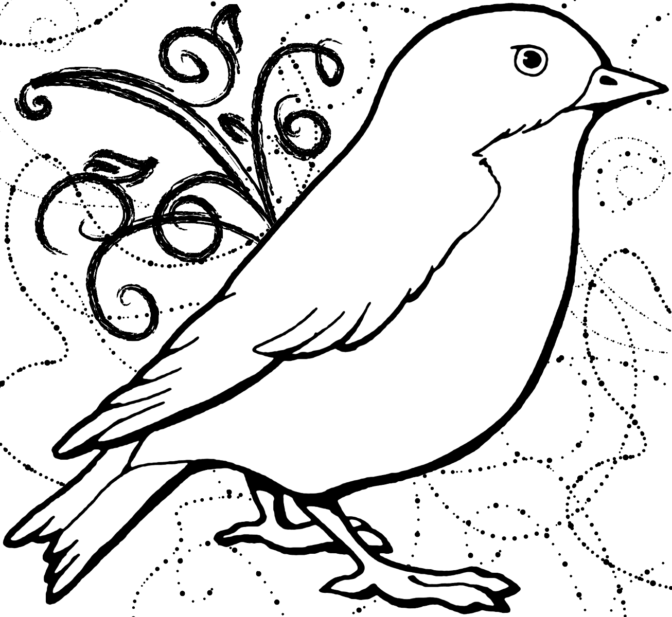 Bird pages â printable pages