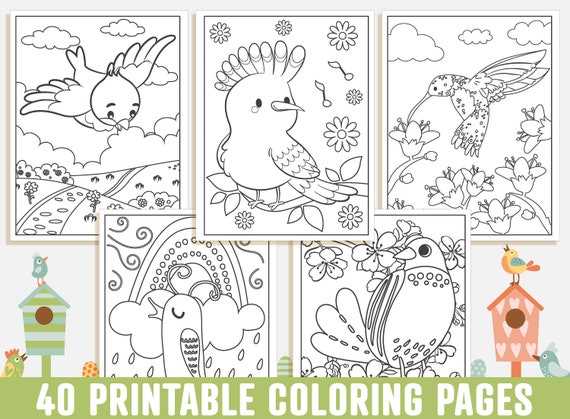 Bird coloring pages printable bird coloring pages for kids boys girls and teens bird birthday party activity instant download