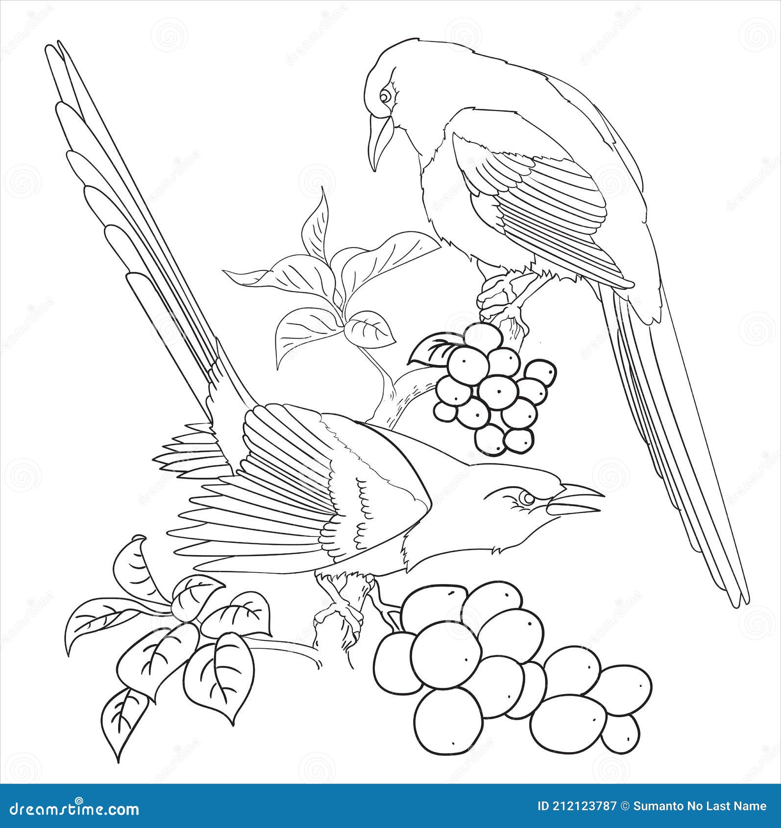 Two birds and flower coloring page stock vector