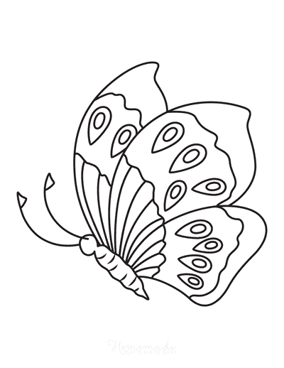 Free butterfly coloring pages for kids adults