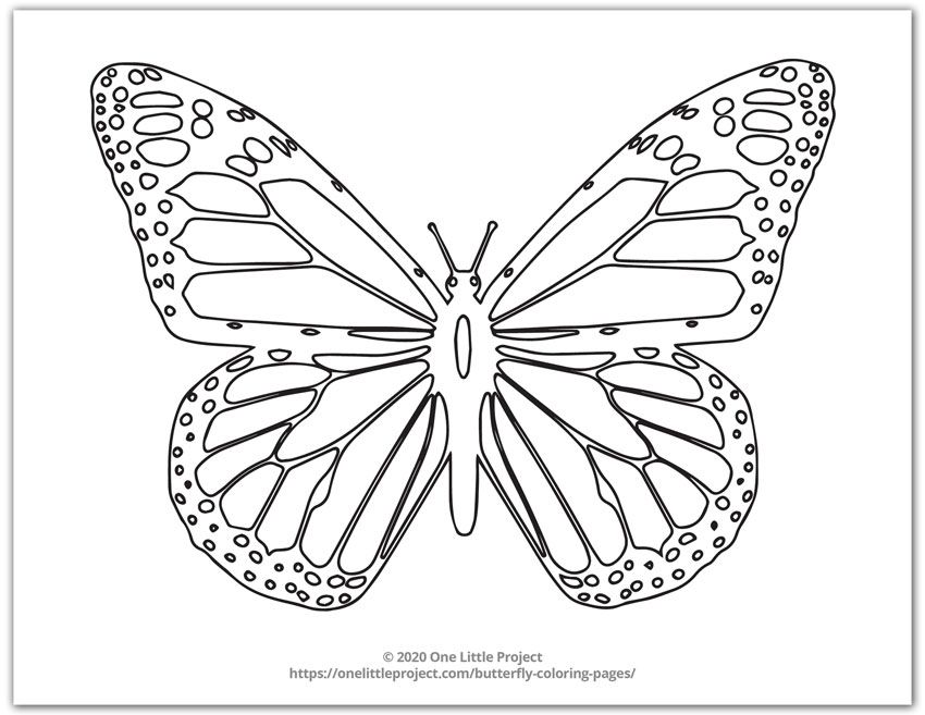 Here are free printable butterfly coloring pages that are great for both adults and kidsâ butterfly coloring page butterfly pictures to color coloring pages