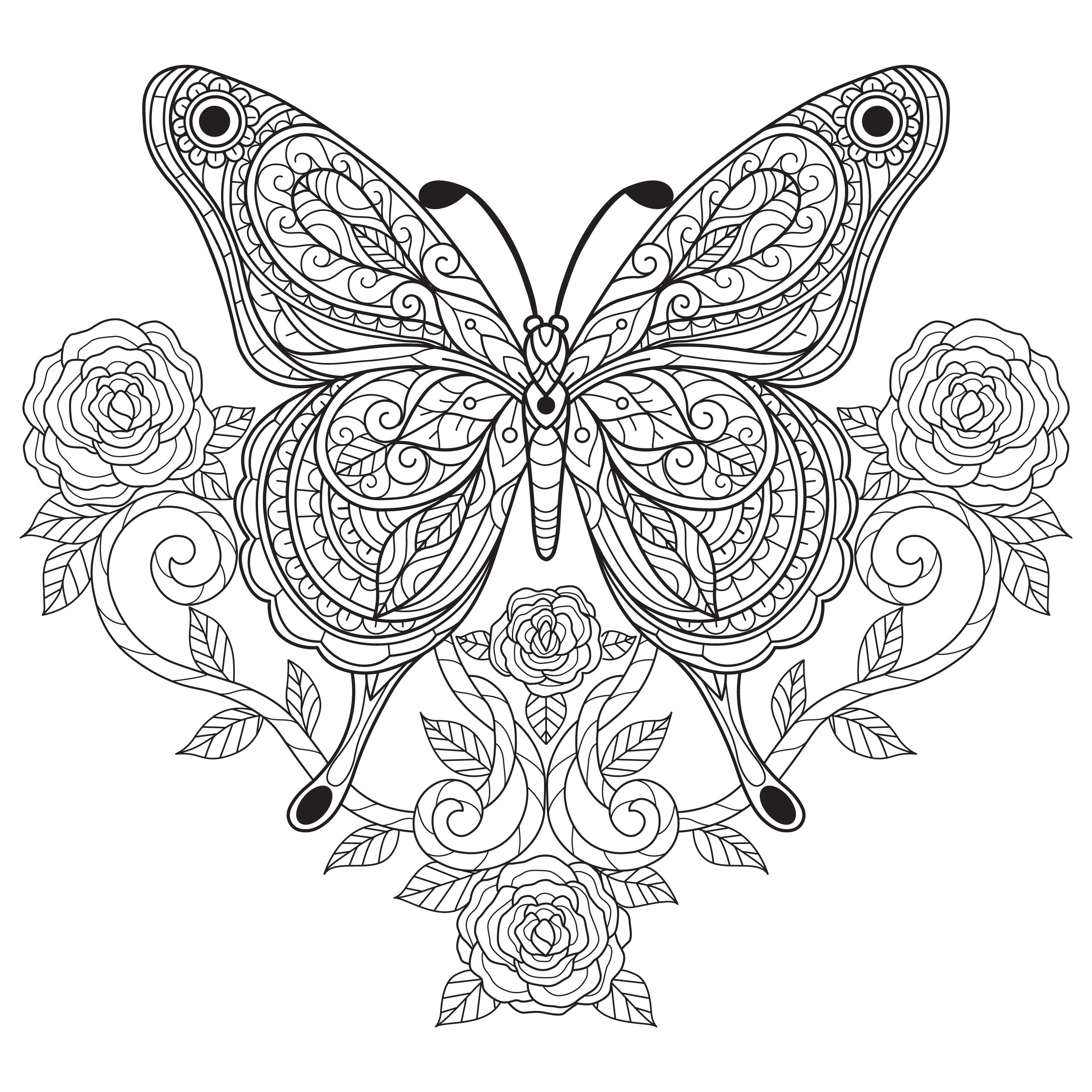 Digital printable beautiful butterfly coloring pages easy difficulty details pages