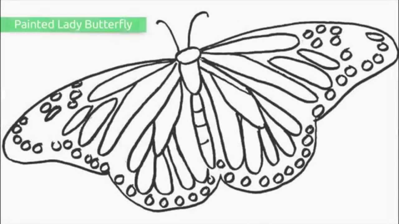 Top free printable butterfly coloring pages