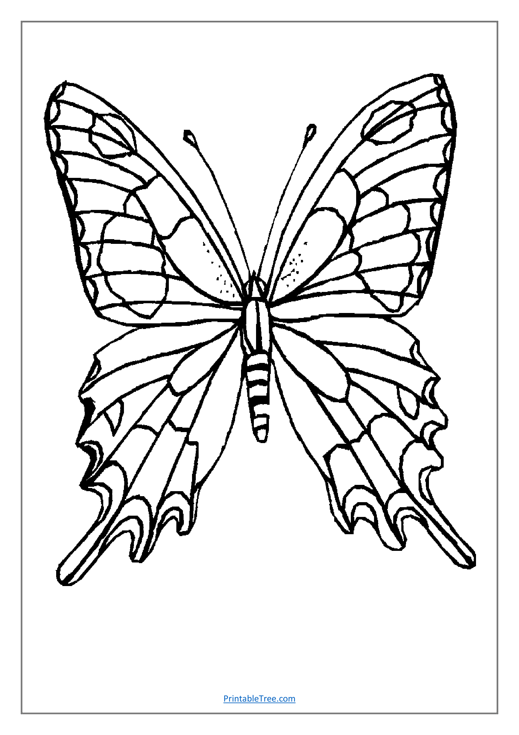 Free printable butterfly coloring pdf pages for kids and adults