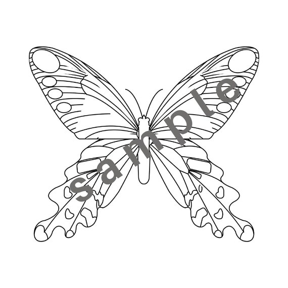 Printable butterfly coloring pages digital
