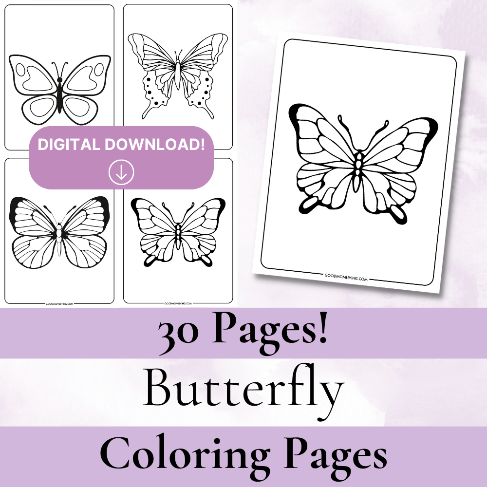 Simple butterfly coloring pages
