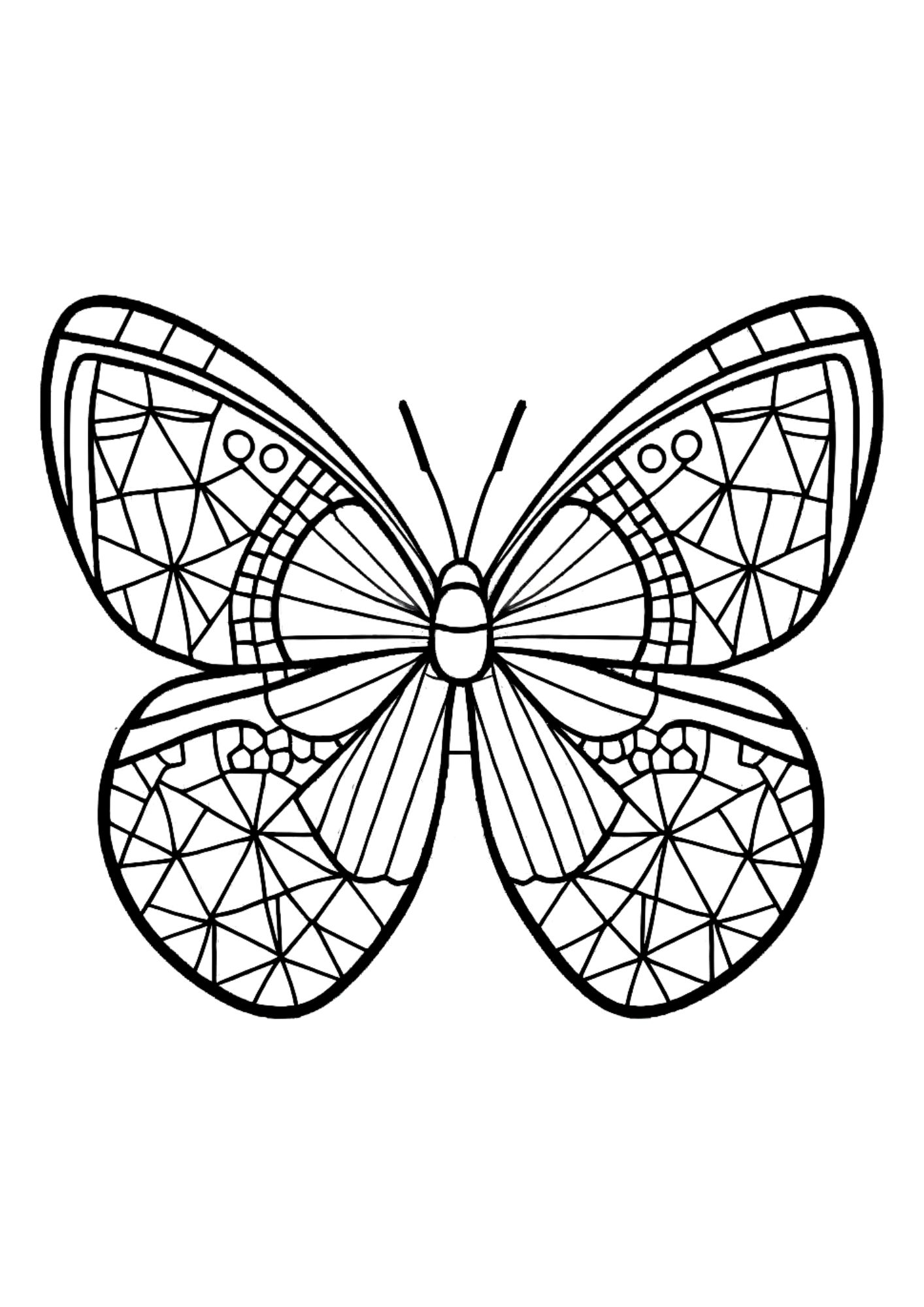 Unique butterfly coloring pages for adults and kids