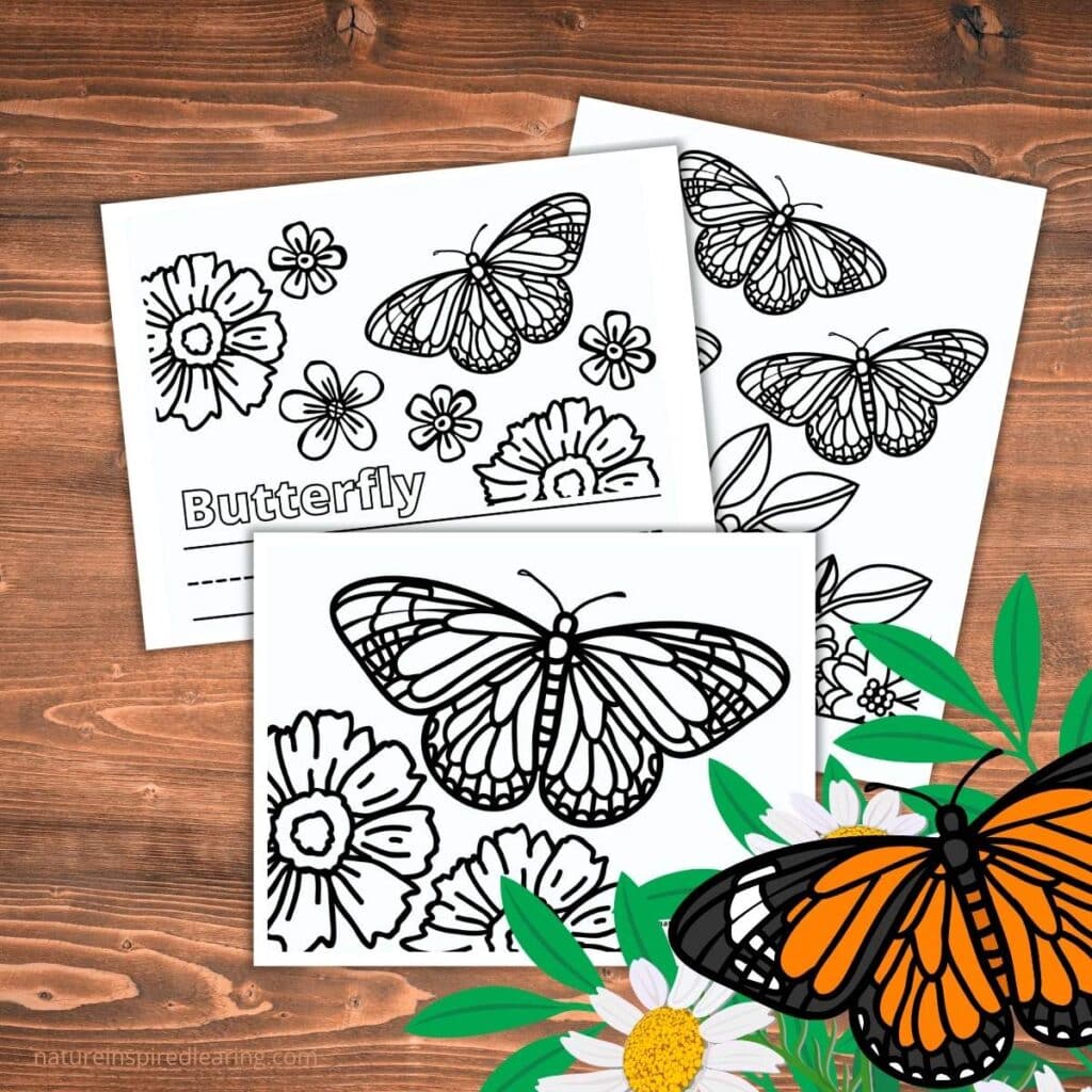 Beautiful butterflies with flowers coloring pages
