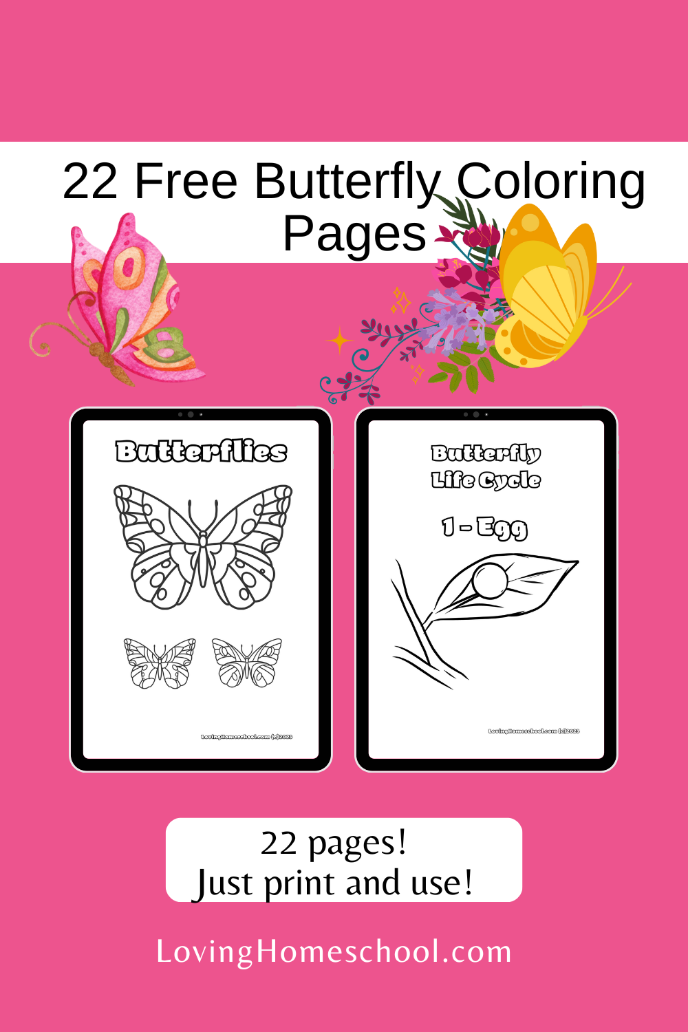 Free butterfly coloring pages