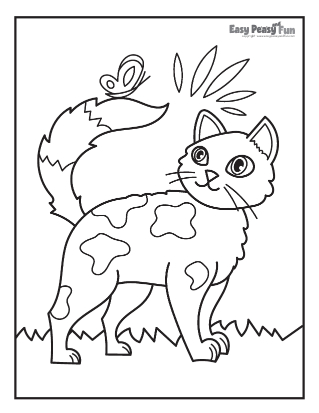 Cat coloring pages