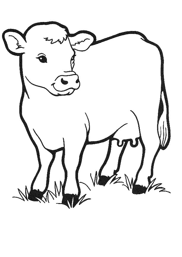 Free printable cow coloring pages for kids horse coloring pages coloring pictures of animals cow coloring pages