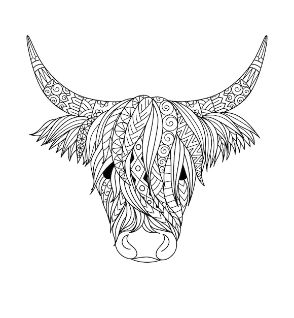 Premium vector highland cow design for coloring bookcoloring page t shirt design and so on vector illustration