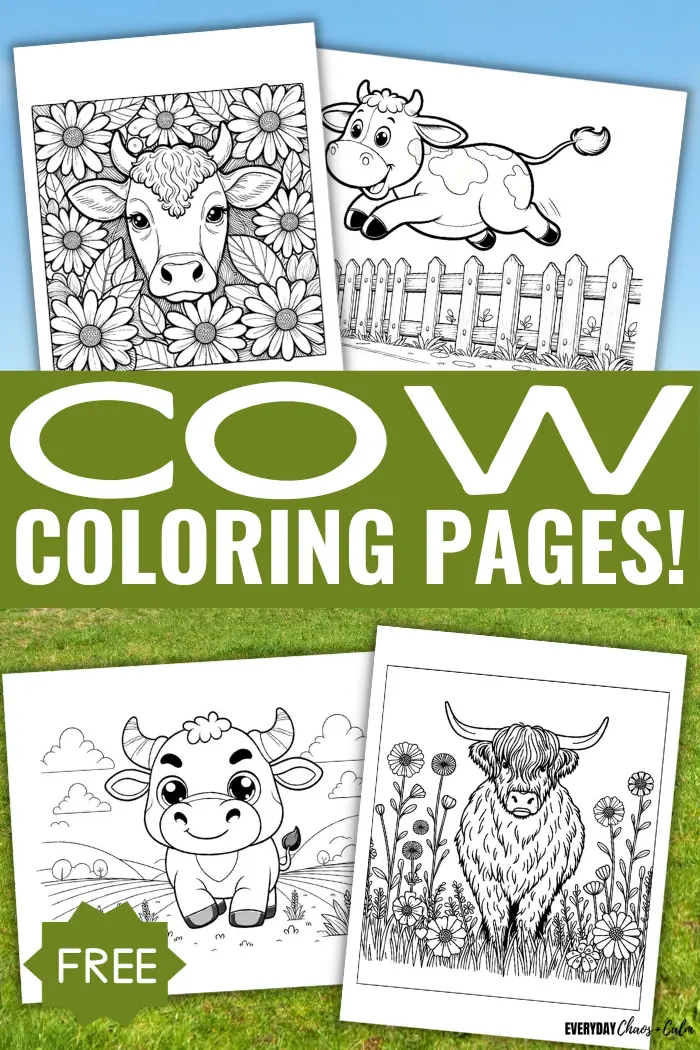 Free printable cow coloring pages