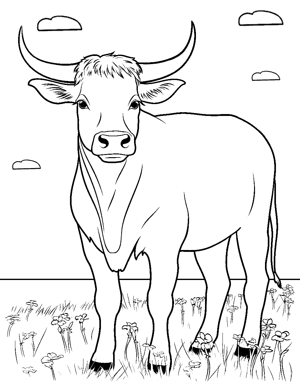 Cow coloring pages free printable sheets