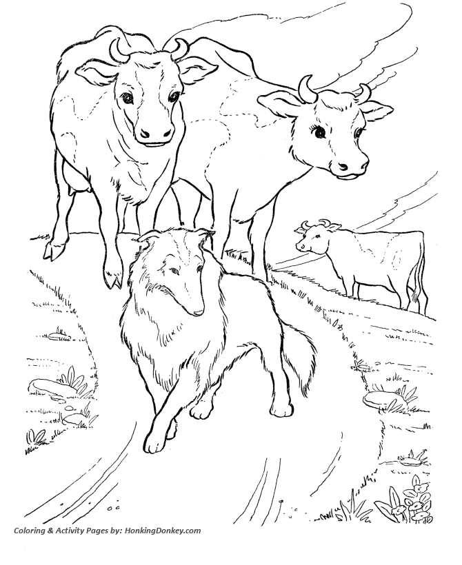 Cow coloring pages printable dairy herd coloring page