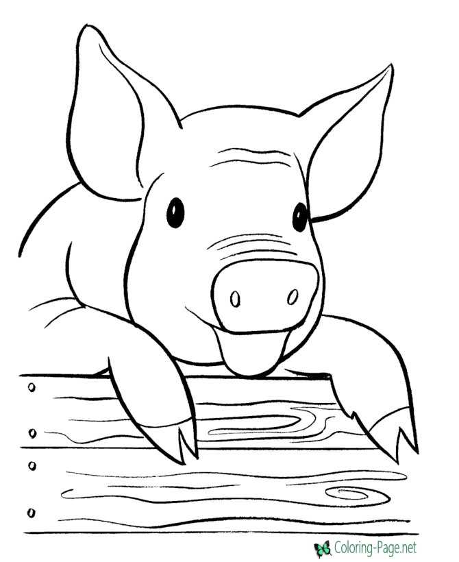 Farm coloring pages