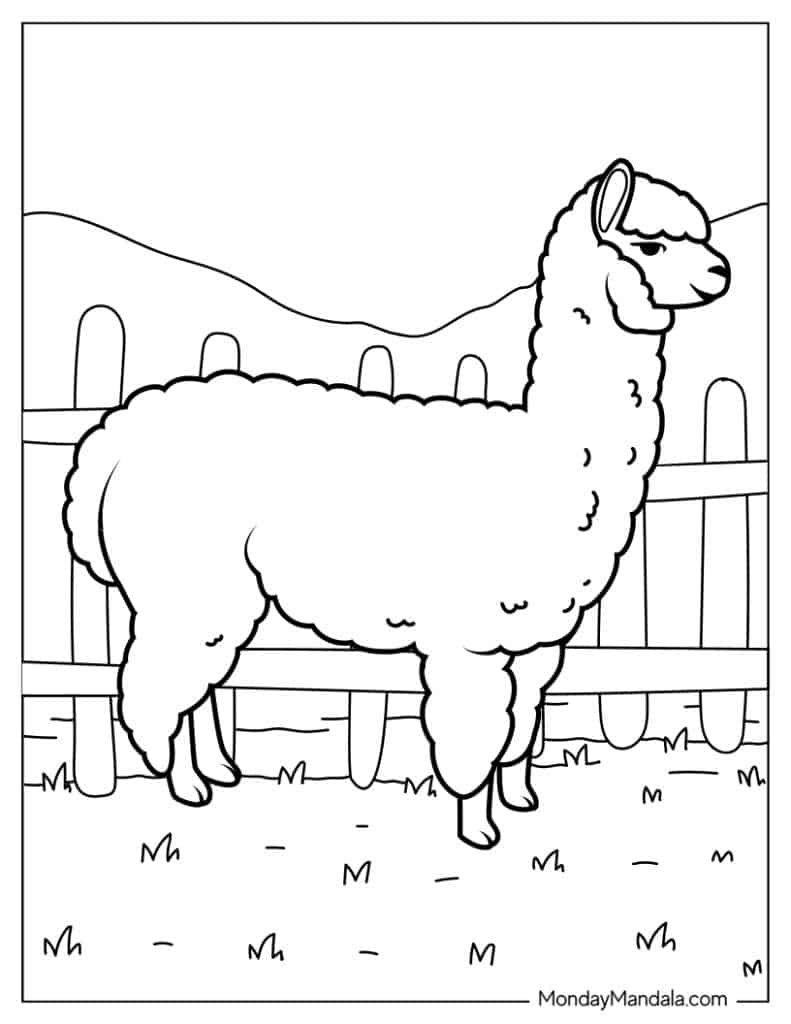 Farm animals coloring pages free pdf printables