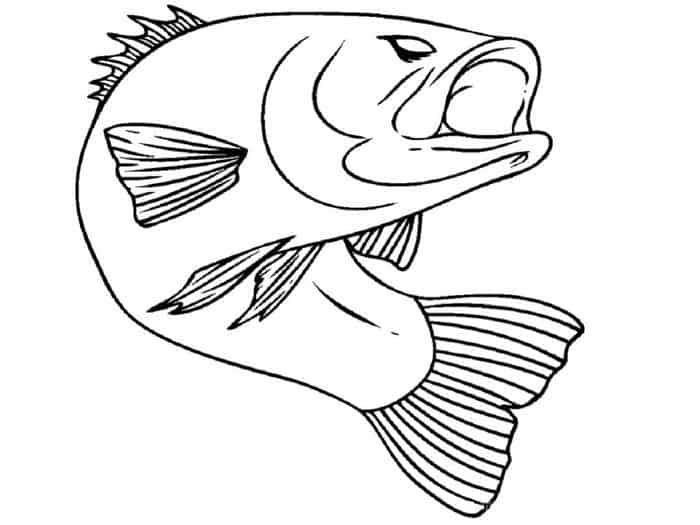 Realistic fish coloring pages fish coloring page coloring pages animal coloring pages