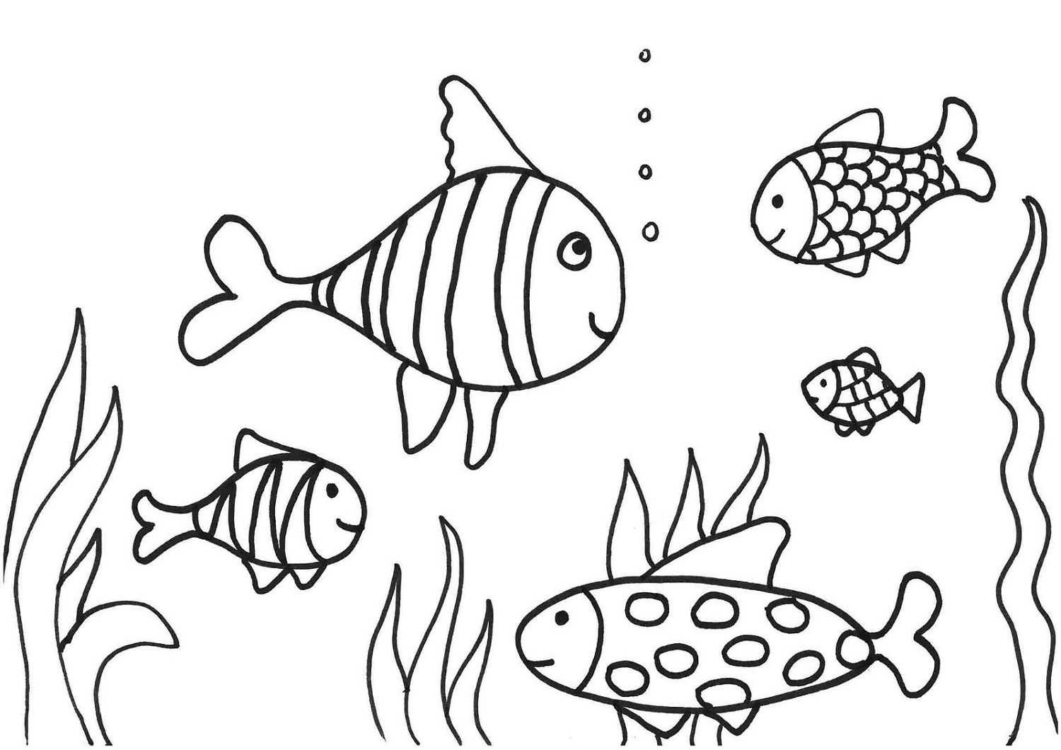 Fish coloring page printable activity shelter