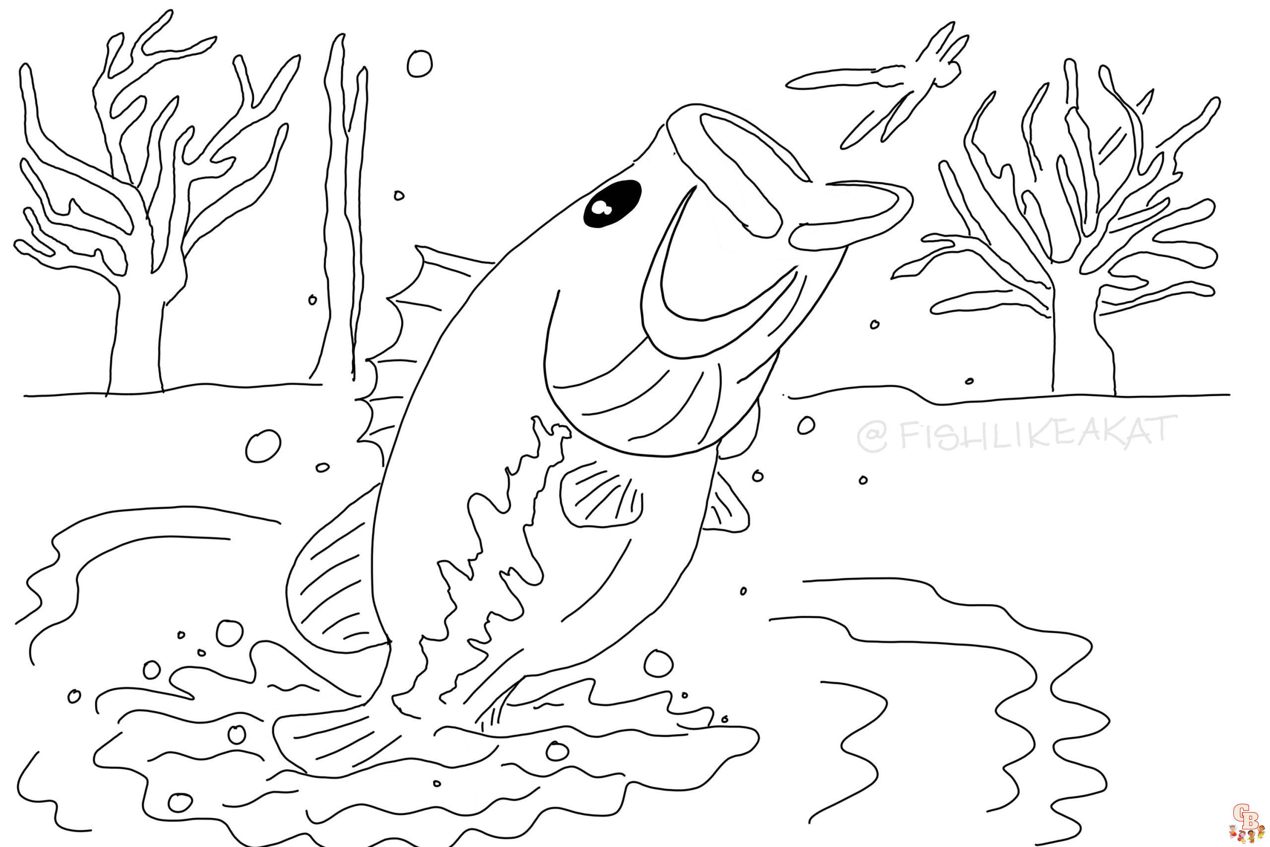 Free printable bass fish coloring pages for kids