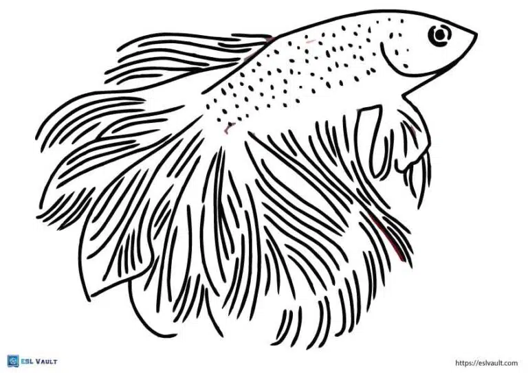 Free betta fish coloring page printables