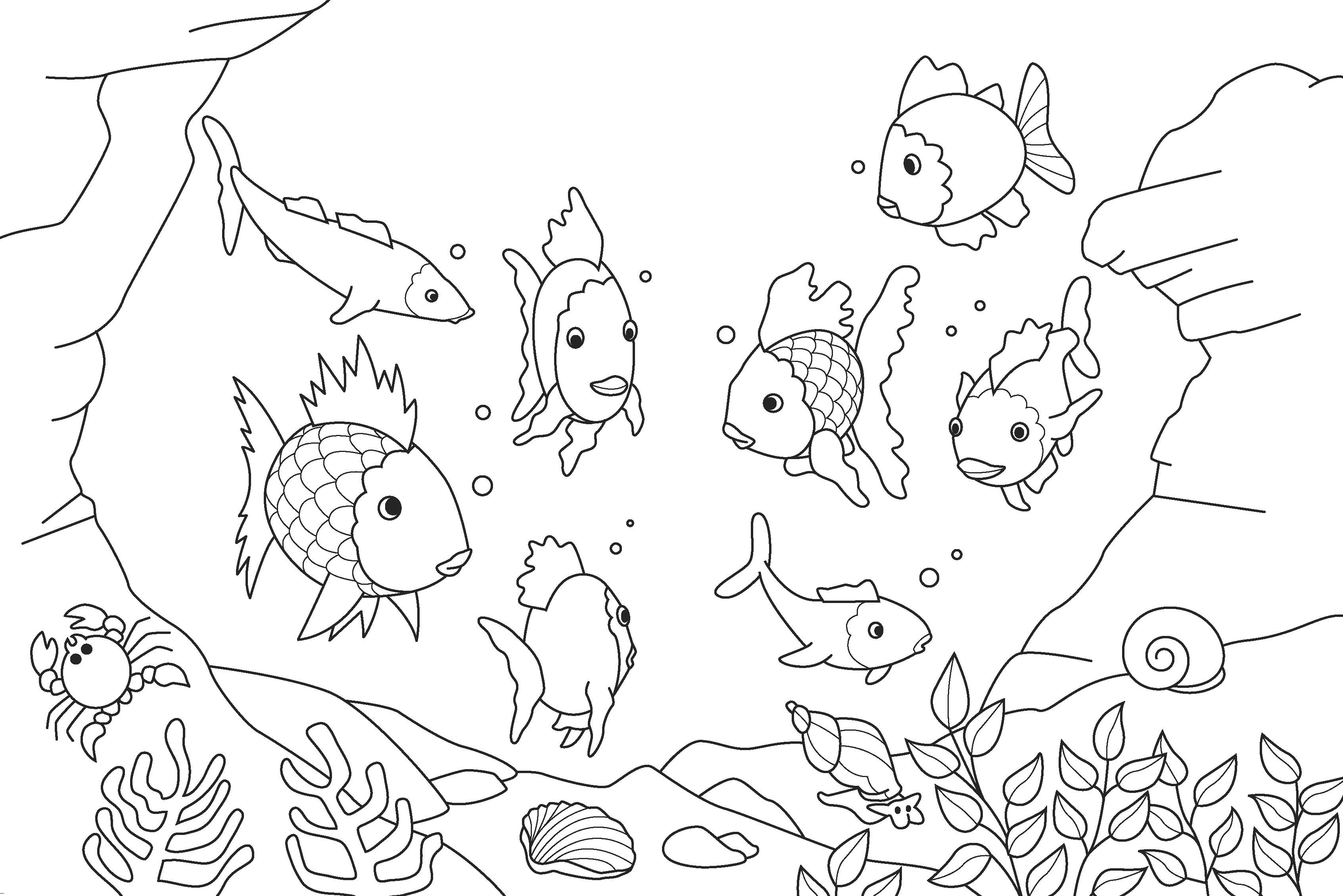 Free printable fish coloring pages for kids