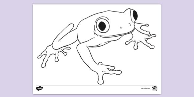 Frog louring page