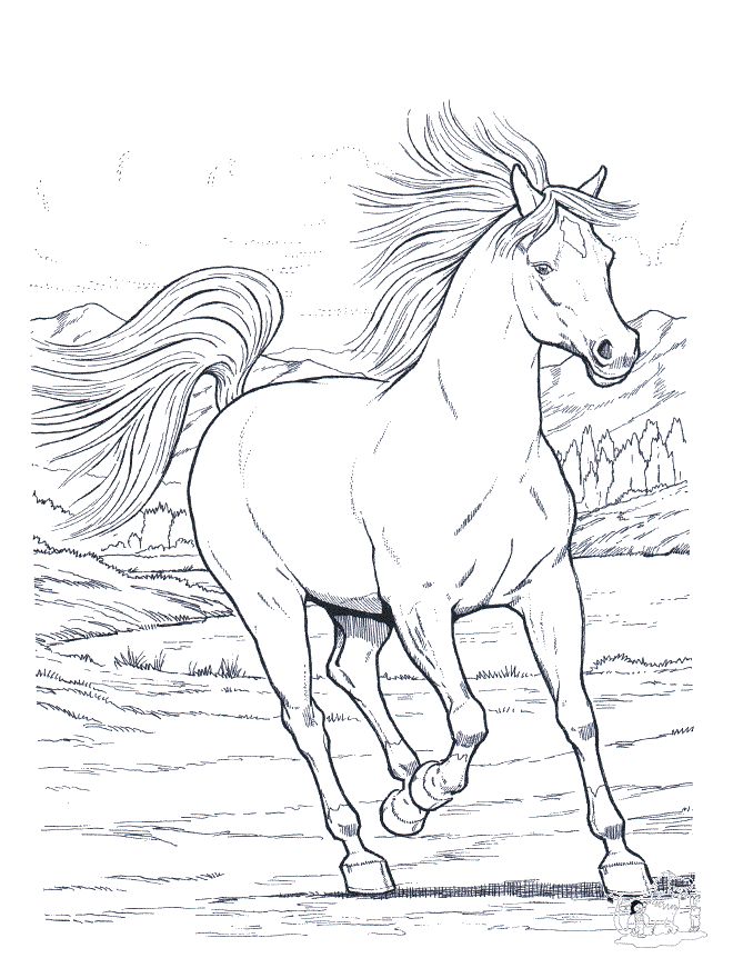 Free printable horse coloring pages for kids horse coloring books horse coloring pages horse coloring