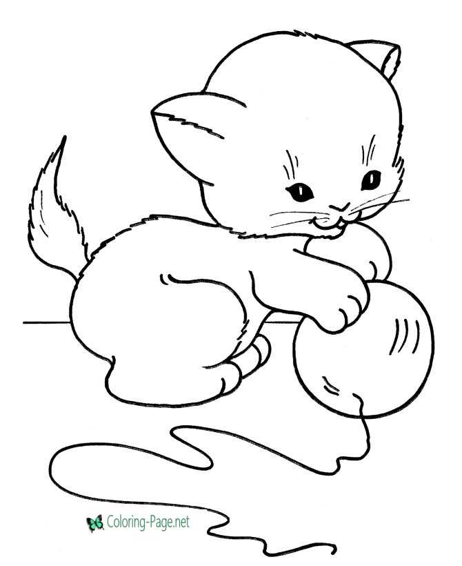 Cat coloring pages