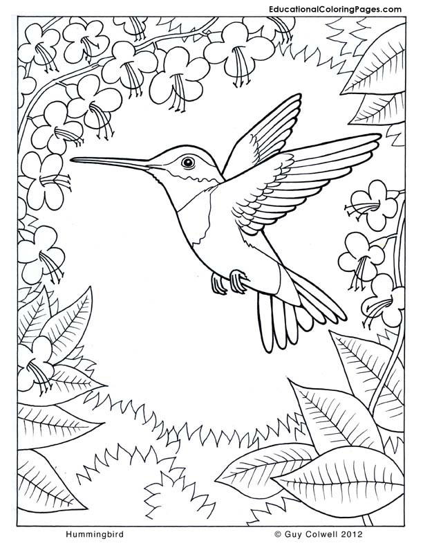 Nature coloring pages to download and print for free