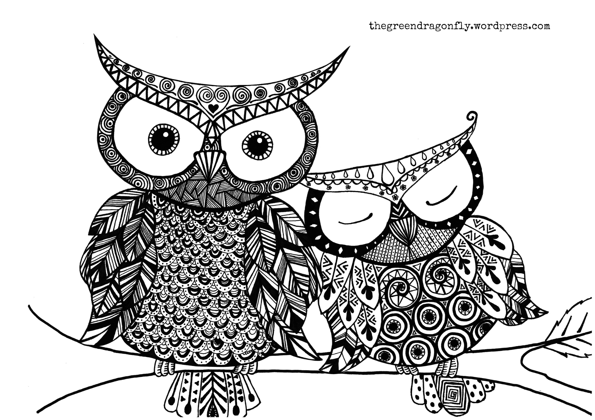 Owl coloring page â the green dragonfly