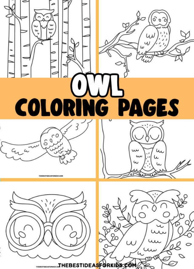 Owl coloring pages free printables