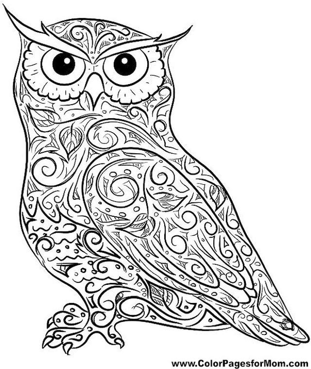 Get this printable owl coloring pages for grown ups dc