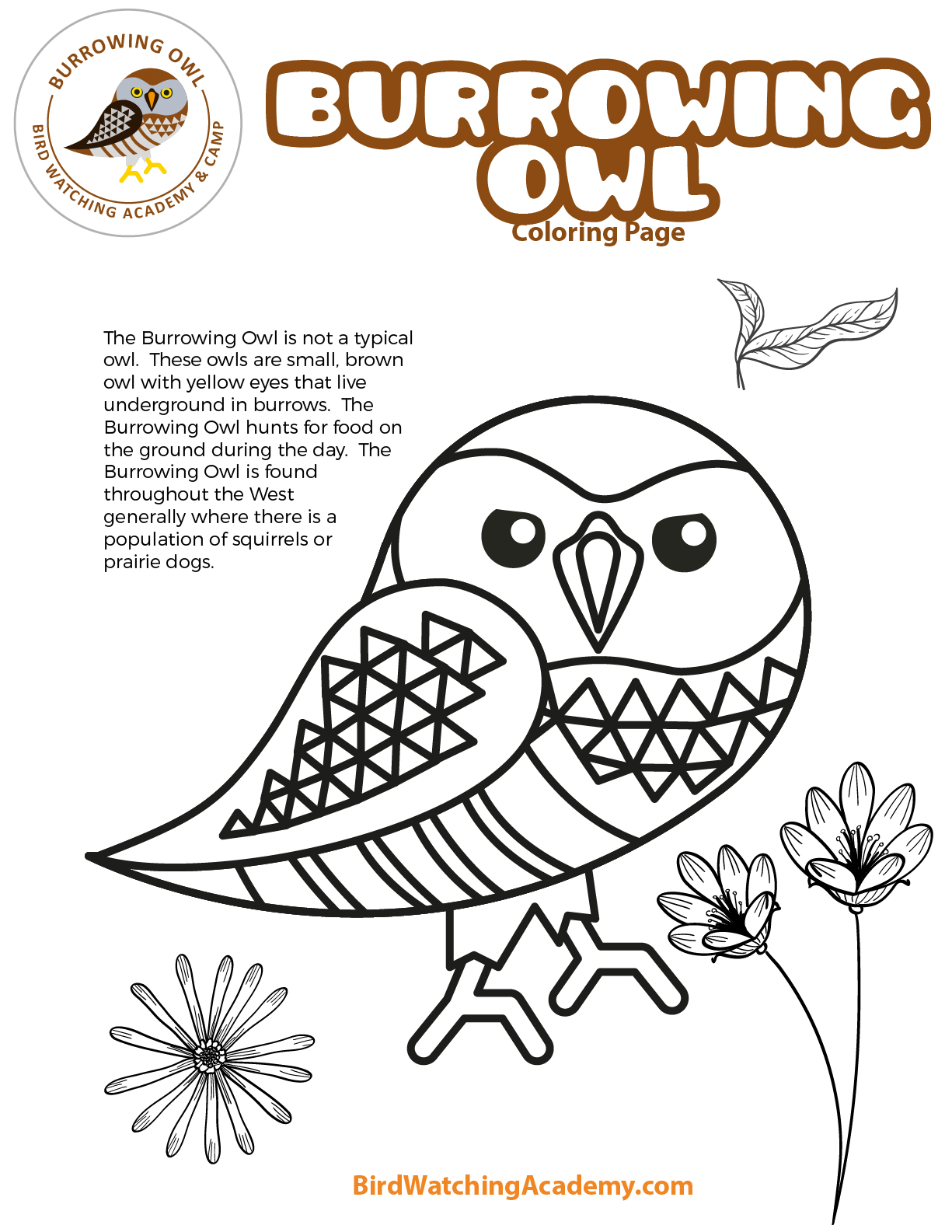 Burrowing owl coloring page