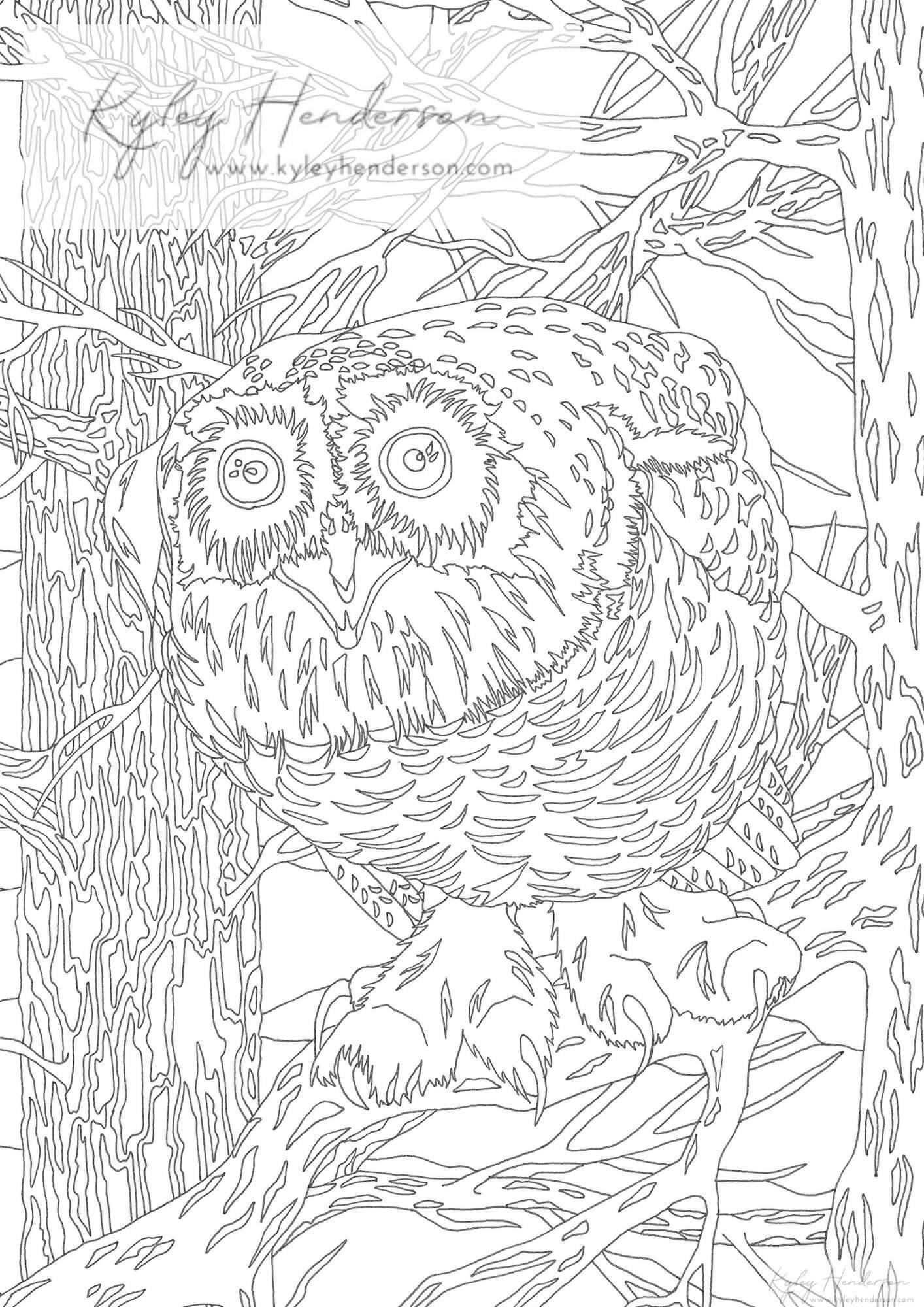 Snowy owl adult coloring pages owl coloring page digital instant download coloring sheet of an owl â kyley henderson art