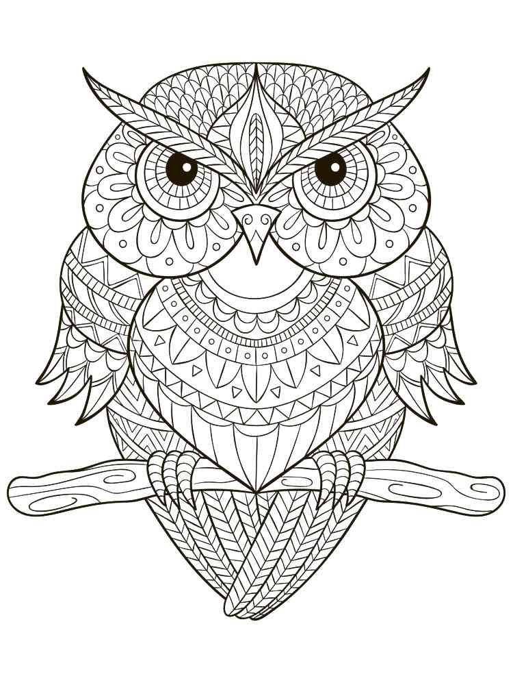 Owl coloring pages for adults