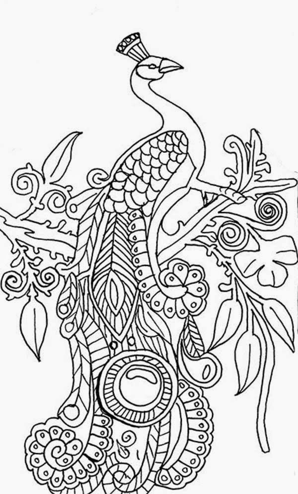 Patamata praneel ready to printable peacock coloring pages for school kids