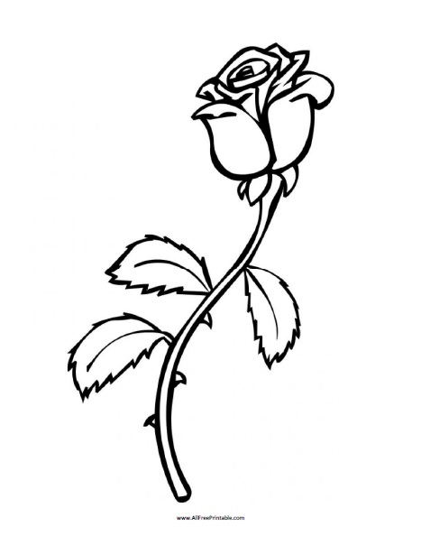 Rose coloring page â free printable