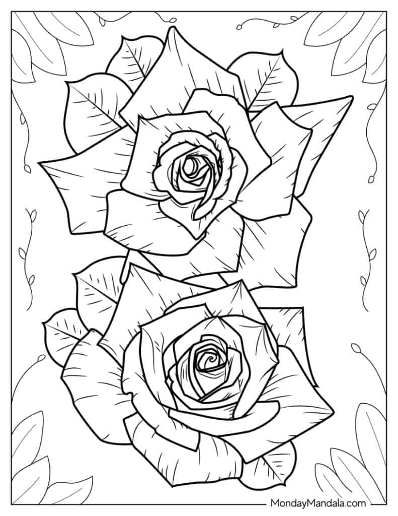 Rose coloring pages free pdf printables