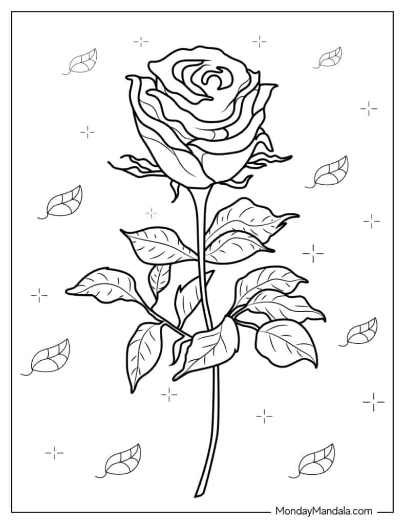 Rose coloring pages free pdf printables