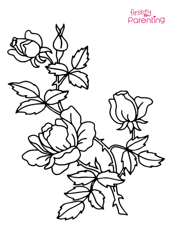 Easy printable rose coloring pages for kids