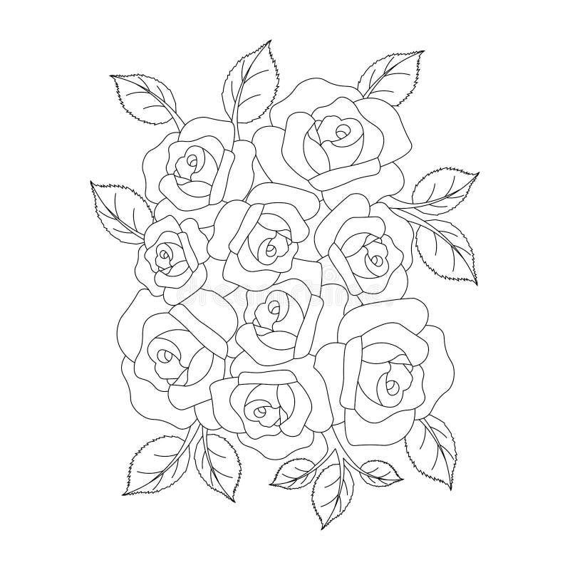 Rose coloring stock illustrations â rose coloring stock illustrations vectors clipart