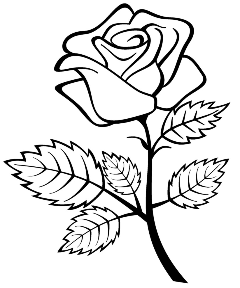 Free printable roses coloring pages for kids