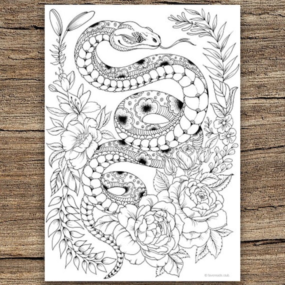 Snake printable adult coloring page from favoreads coloring book pages for adults and kids coloring sheets colouring designs