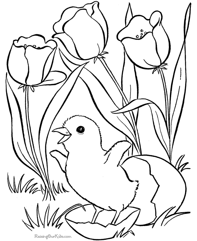 Spring coloring page baby chick and flowers