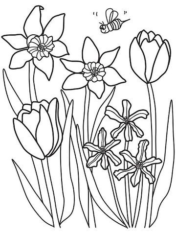 Printable spring coloring pages flower coloring pages flower coloring sheets spring coloring sheets