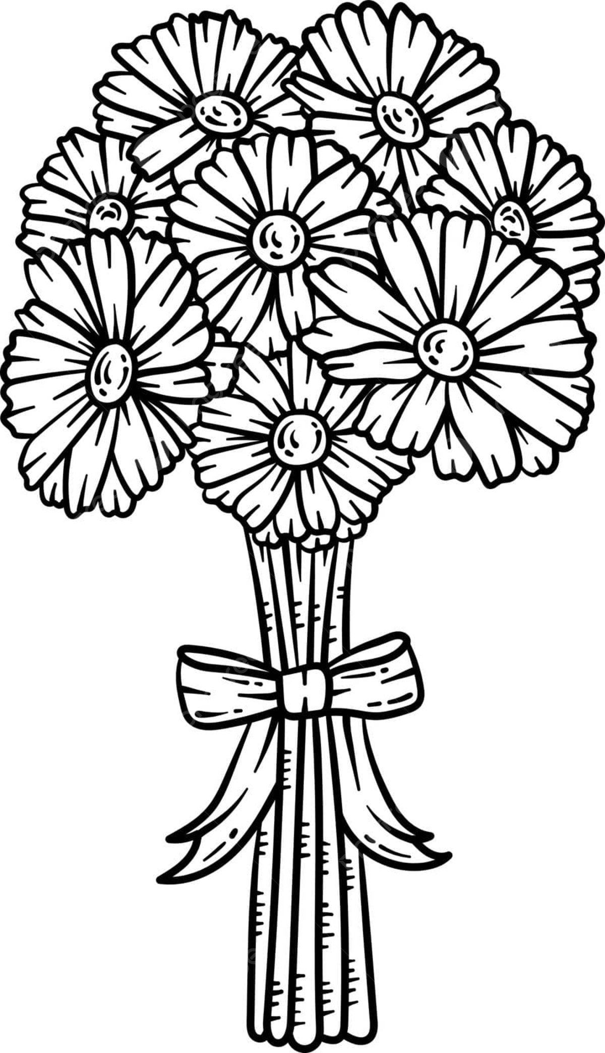 Daisies spring coloring page for adults spring flower colouring page vector flower drawing ring drawing spring drawing png and vector with transparent background for free download