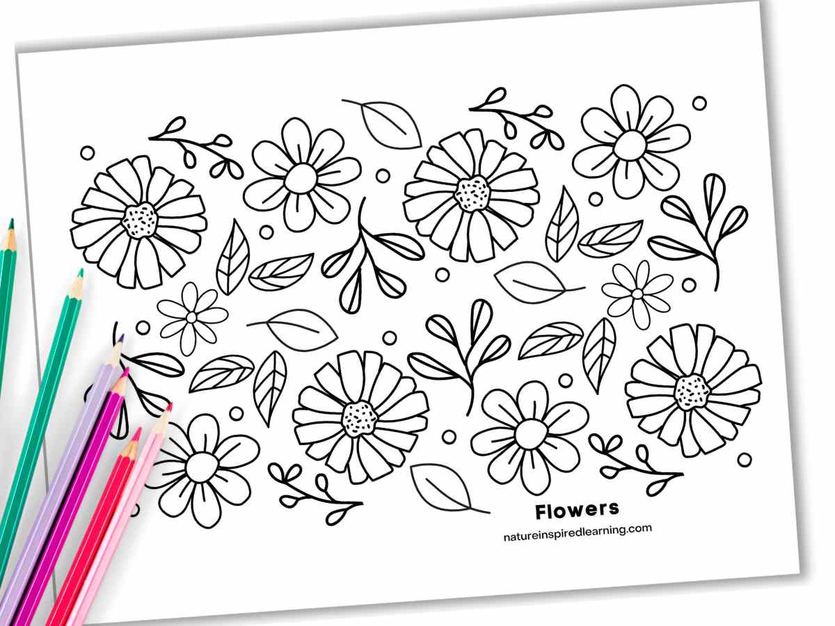 Beautiful flower coloring pages